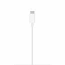 Apple Magsafe charger